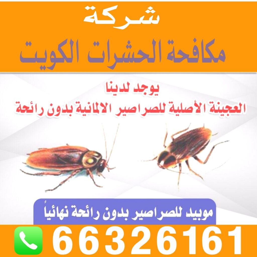 رقم افضل شركة مكافحة حشرات الكويت